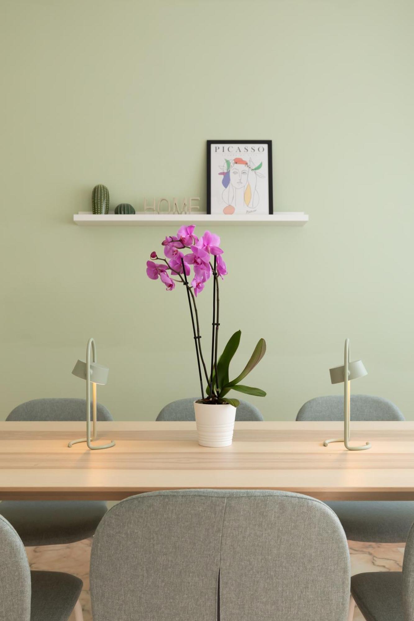 Domiziano Boutique Apartment Рим Екстериор снимка